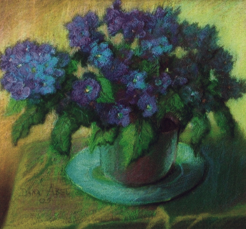 cineraria